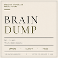 Brain Dump