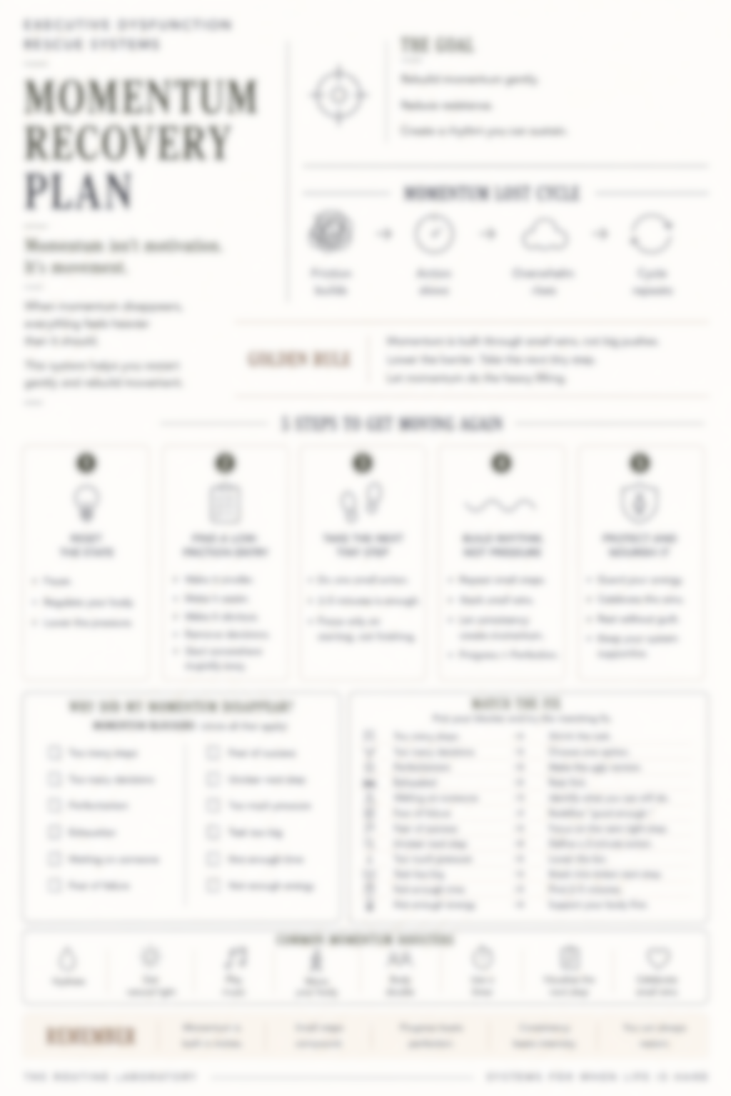 Momentum Recovery Plan
